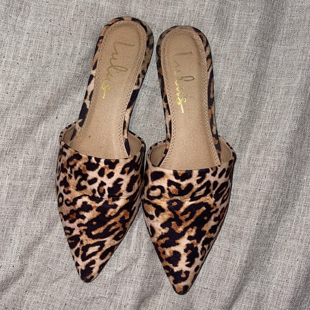 Cheetah slides